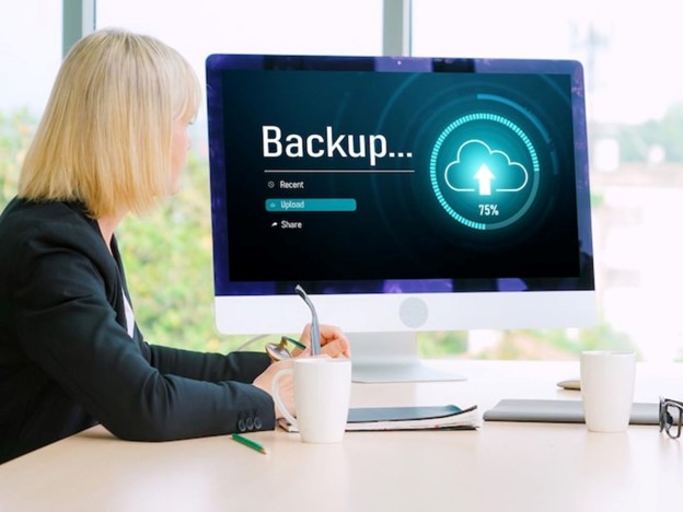 Read more about the article The Critical Importance of Data Backup